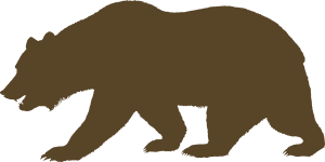 bear, animal, brown-160226.jpg