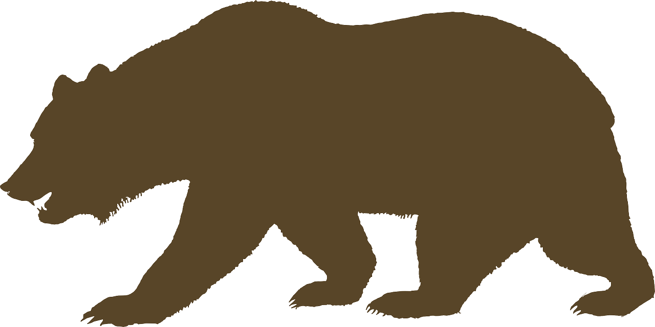 bear, animal, brown-160226.jpg